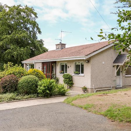 Glebe Farm Cottage Newry Zewnętrze zdjęcie